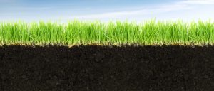 why use organic-fertilizer-on-my-lawn by walts organic fertilizers